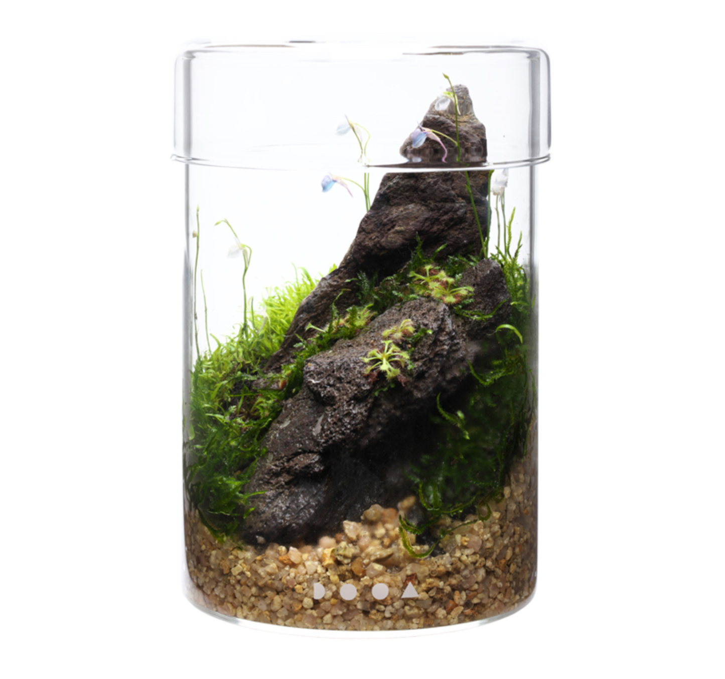 Glass Pot Maru
