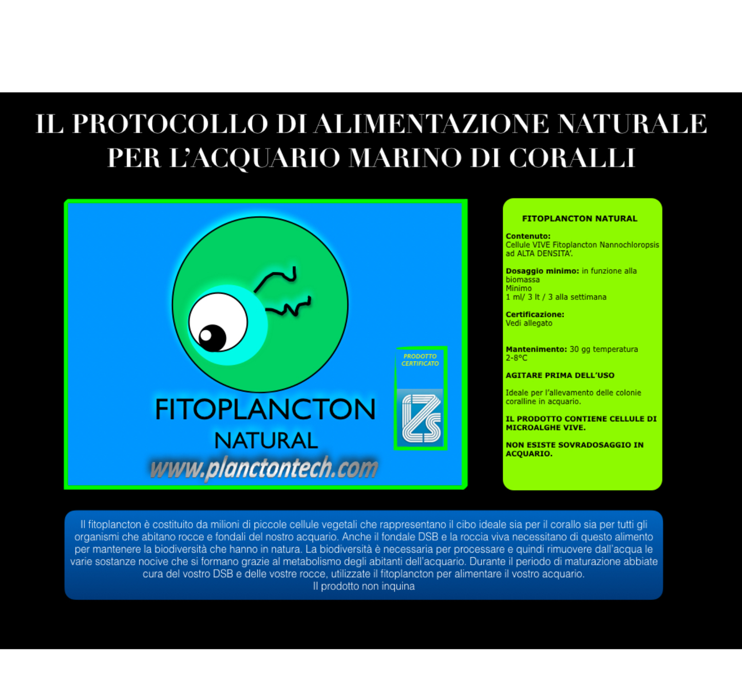 FITOPLANCTON NATURAL