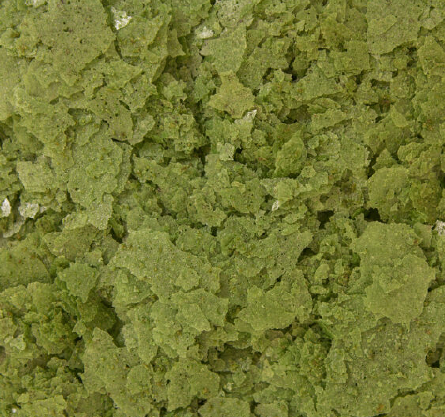 Formula TOW Flakes