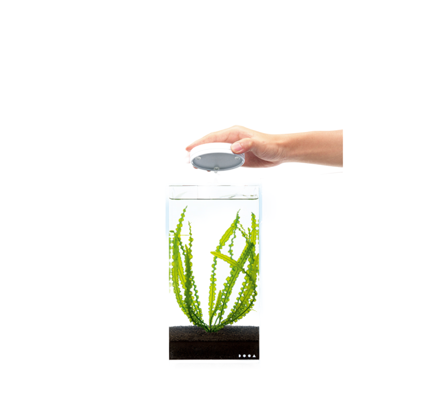 Magnet Light G