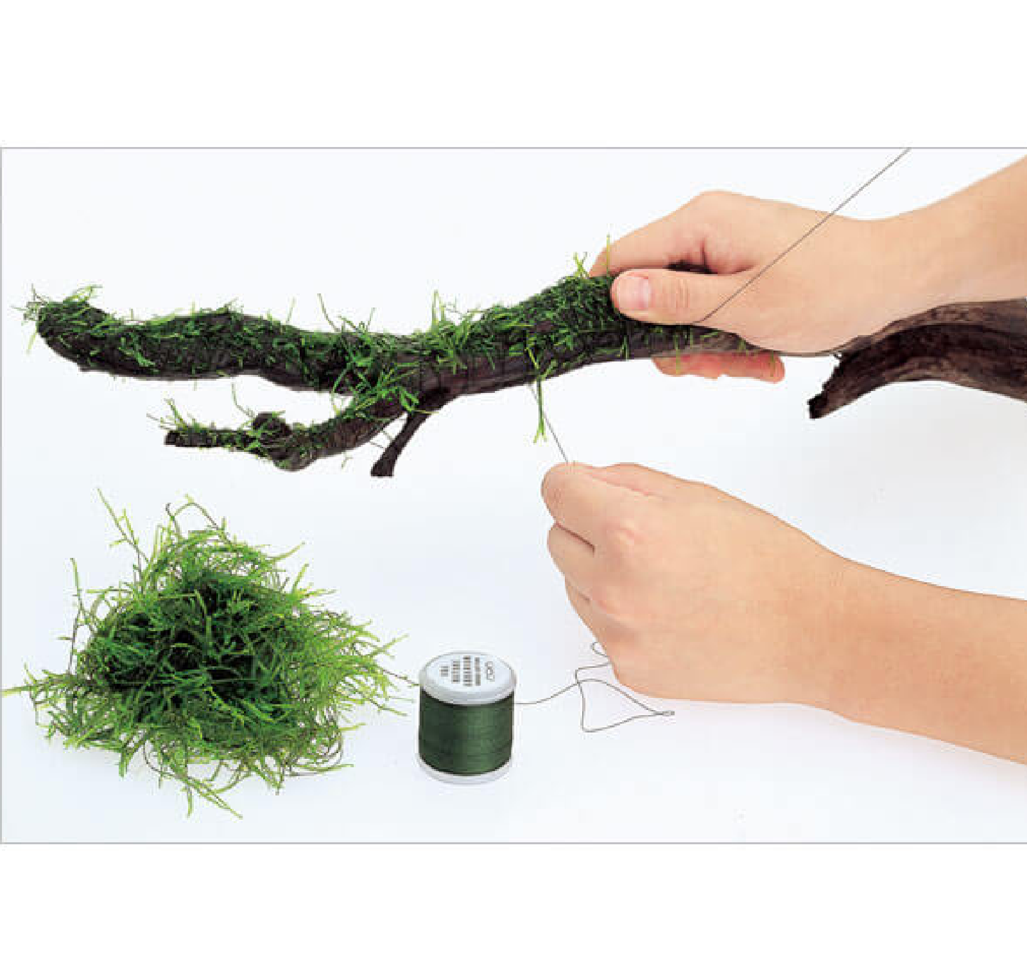 Moss Cotton