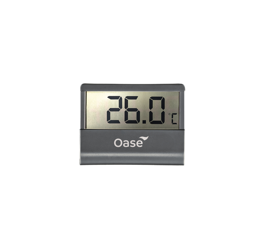 Termometro Digitale